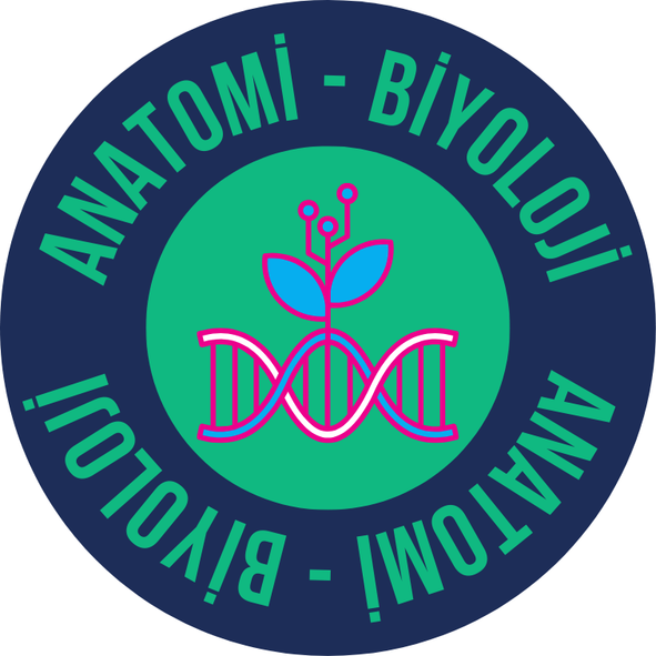 Anatomi - Biyoloji
