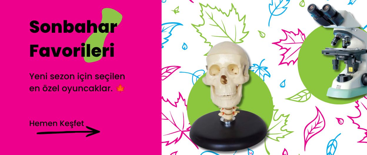 Yaz Favorileri 