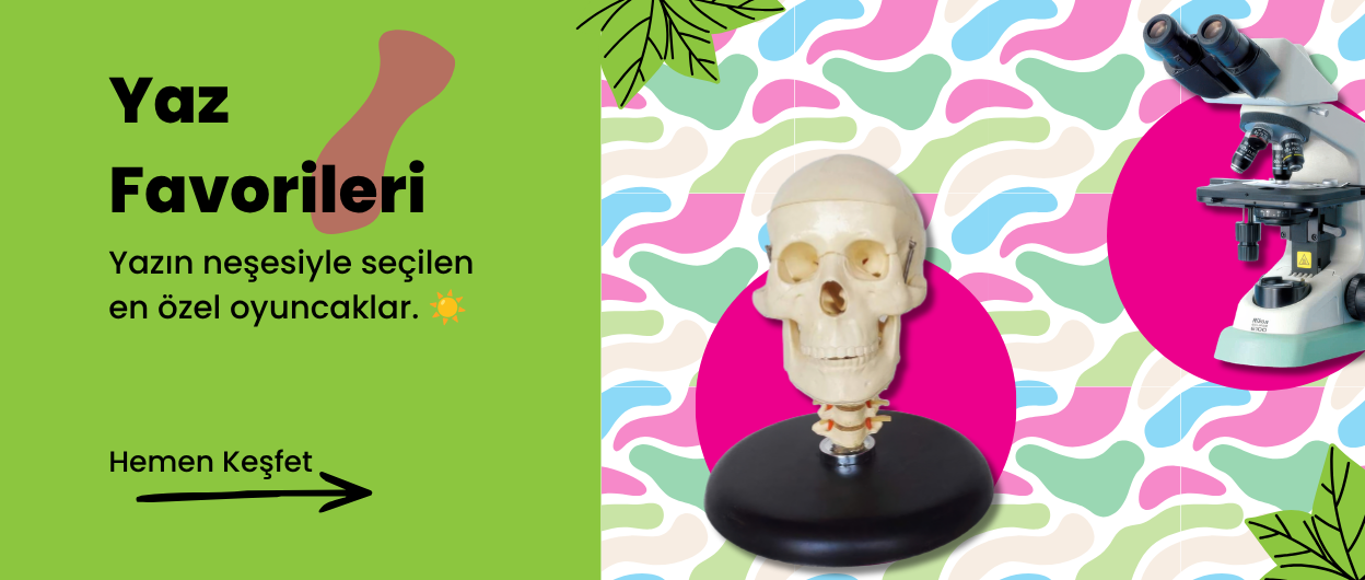 Yaz Favorileri